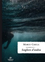 Intervista a Marco Casula