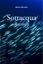 Sottacqua