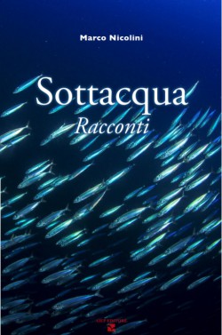 Sottacqua