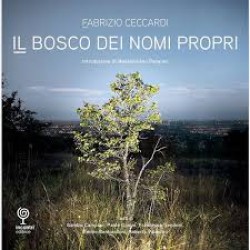 Il bosco dei nomi propri