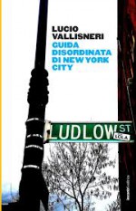 Guida disordinata di New York