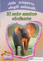 Il mio amico elefante