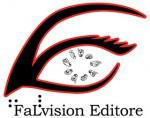 Incontro con l'Editore FaLvision