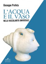 L'acqua e il vaso nella vascolarità universale