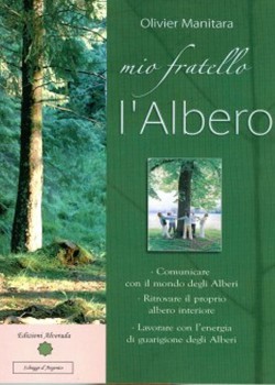 Mio fratello l'Albero